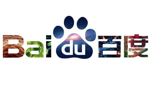 蜘蛛池的概念和原理