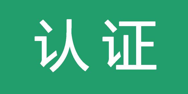 网站怎么引蜘蛛